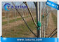 UV ράβδος φίμπεργκλας Pultruded ανασταλτικών παραγόντων για το ραβδί Πολωνών υποστήριξης δέντρων εγκαταστάσεων